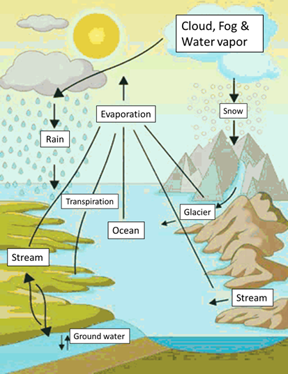 Where does water come from?