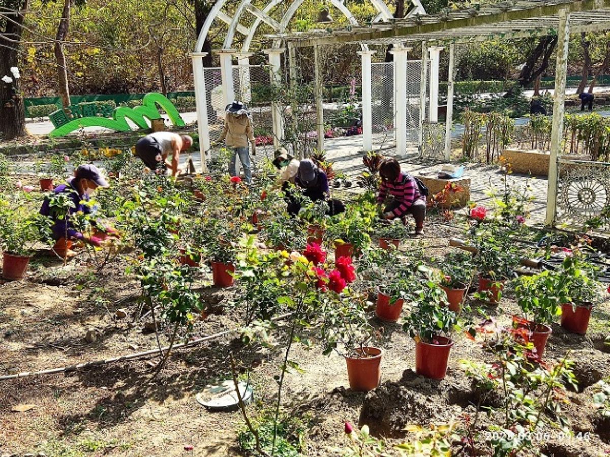 112.03.06-環教志工共同在幸福花園種植樹木和玫瑰花4.jpg