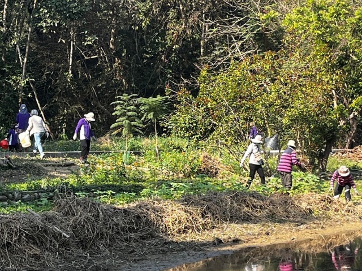 113.1.29-113年第1次生態池除蔓和棲地整理4.jpg