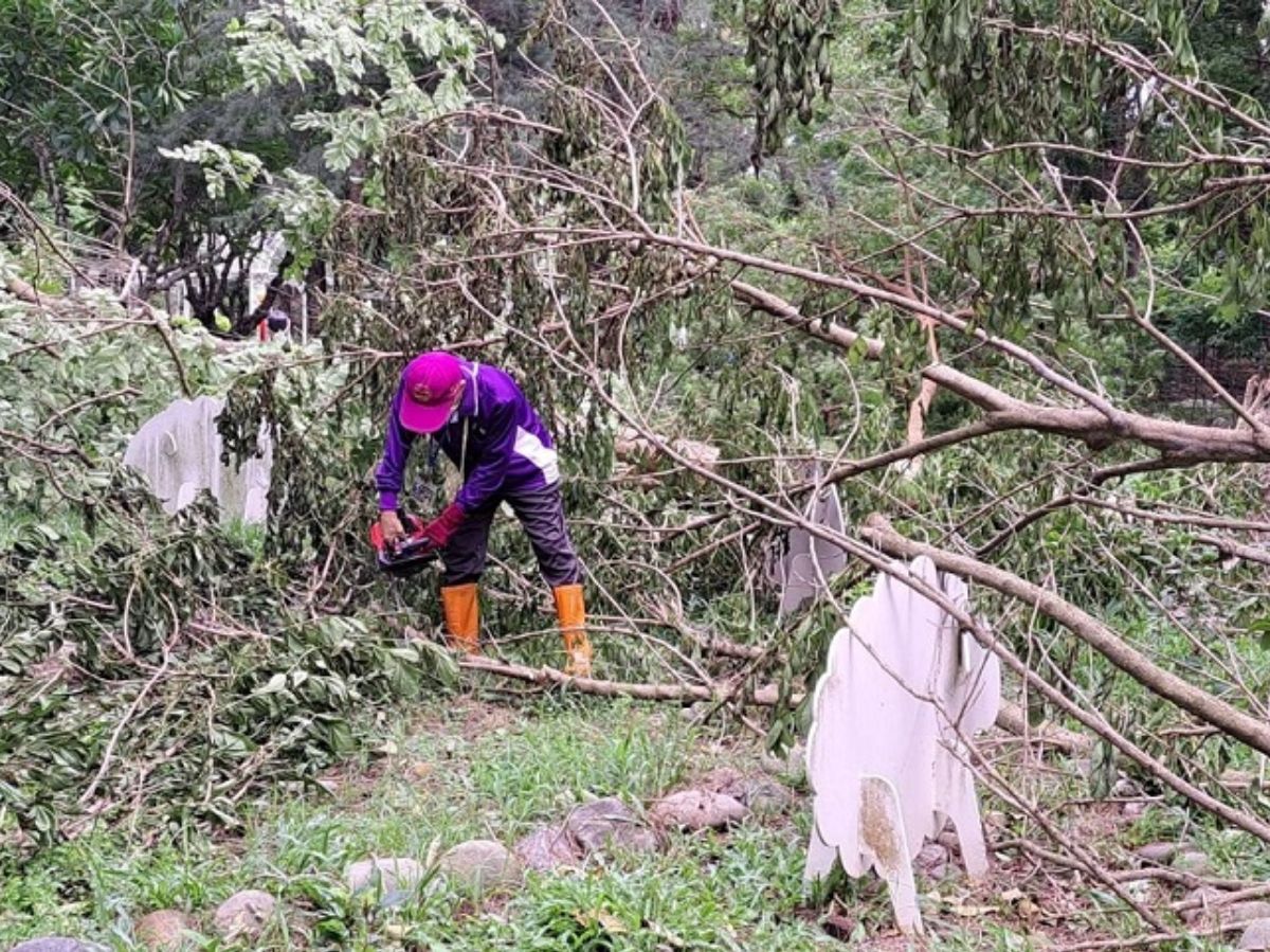 112.07.30-澄清湖環教志工杜蘇芮風災搶救幸福花園和生態池7.jpg