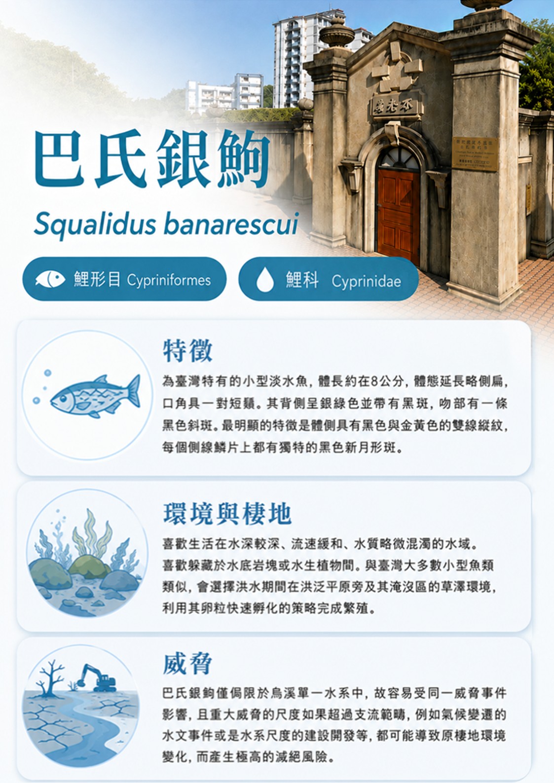 巴氏銀鮈-B.JPG