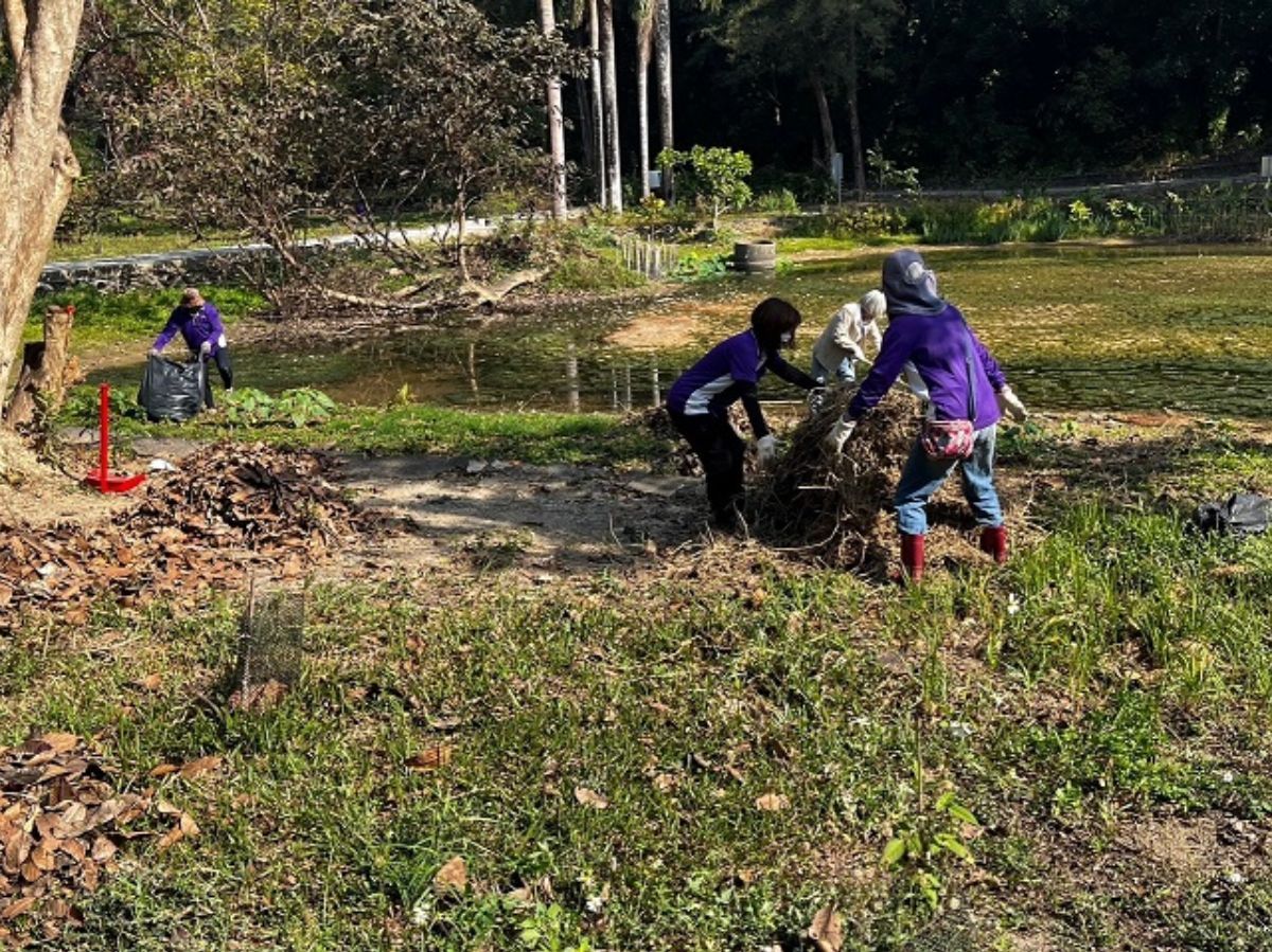 113.1.29-113年第1次生態池除蔓和棲地整理3.jpg