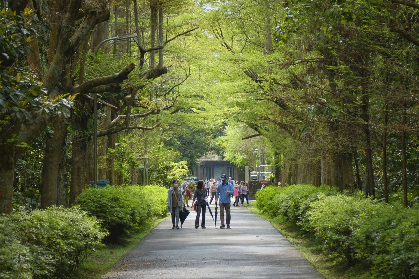 漫步深溝~秘境巡禮