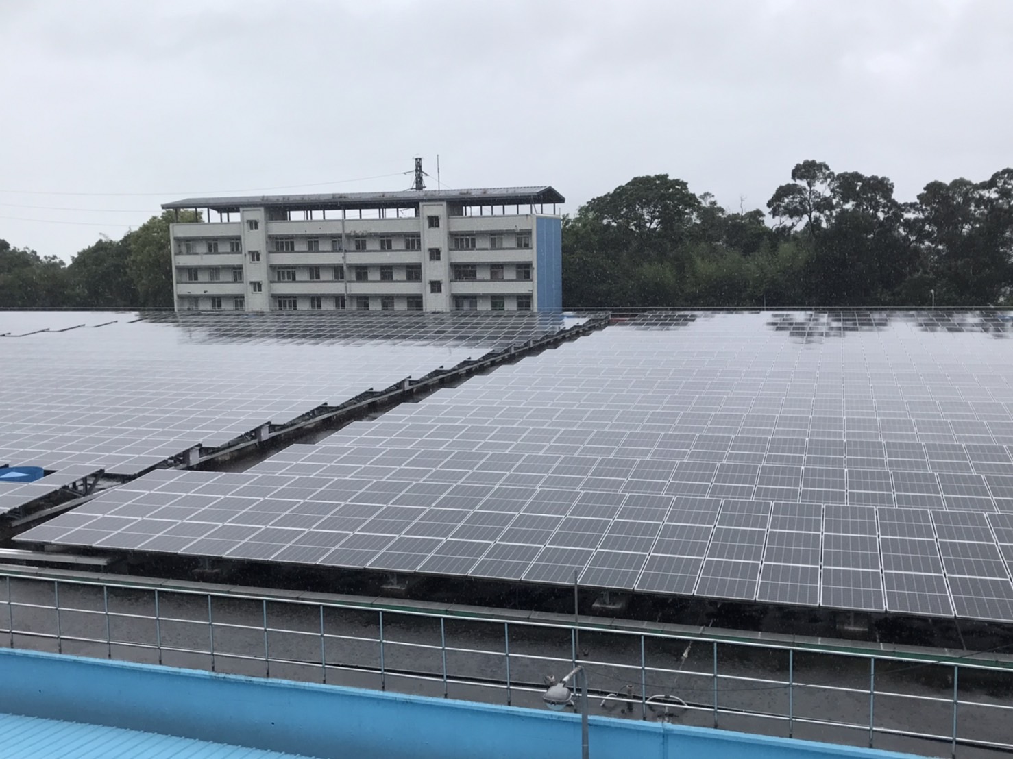 鯉魚潭給水廠清水池設置之太陽能板